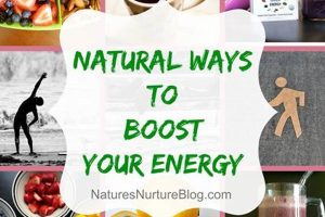 Unlock Your Best Natural Energy Potential | Renewable Energy Solutions for a Sustainable Future | Clean & Green Power