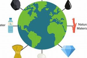 Discover Which Product is Made From Renewable Resources? (Easy!) | Renewable Energy Solutions for a Sustainable Future | Clean & Green Power