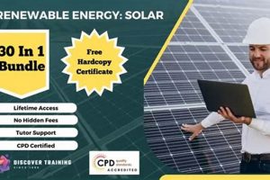 Best Renewable Energy Courses in the UK 2024 | Renewable Energy Solutions for a Sustainable Future | Clean & Green Power