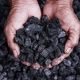 No, Coal is NOT a Renewable Resource: Truth Revealed! | Renewable Energy Solutions for a Sustainable Future | Clean & Green Power