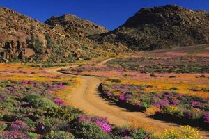 Blooming South: Flowers Road South Migration Renewable Energy Solutions for a Sustainable Future | Clean & Green Power Blooming South: Flowers Road South Migration | Renewable Energy Solutions for a Sustainable Future | Clean & Green Power