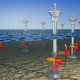 Harnessing Tidal Energy: A Renewable Powerhouse | Renewable Energy Solutions for a Sustainable Future | Clean & Green Power
