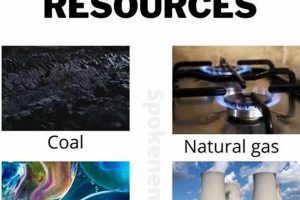 Exploring the List of Non Renewable Resources: A Guide | Renewable Energy Solutions for a Sustainable Future | Clean & Green Power