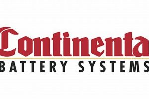 Top Continental Battery Systems of Denver Experts Renewable Energy Solutions for a Sustainable Future | Clean & Green Power Top Continental Battery Systems of Denver Experts | Renewable Energy Solutions for a Sustainable Future | Clean & Green Power