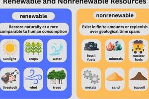 Is Hydropower Renewable? The Truth About Water Energy Renewable Energy Solutions for a Sustainable Future | Clean & Green Power Is Hydropower Renewable? The Truth About Water Energy | Renewable Energy Solutions for a Sustainable Future | Clean & Green Power