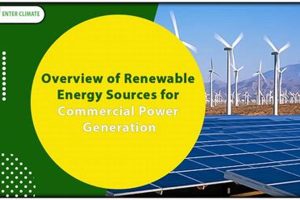Top Renewable Energy Sources Company: Powering a Green Future! | Renewable Energy Solutions for a Sustainable Future | Clean & Green Power