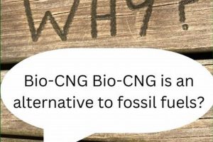 CNG Fuel: Is Compressed Natural Gas a *Renewable Source of Energy*? Guide Renewable Energy Solutions for a Sustainable Future | Clean & Green Power CNG Fuel: Is Compressed Natural Gas a *Renewable Source of Energy*? Guide | Renewable Energy Solutions for a Sustainable Future | Clean & Green Power
