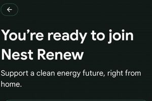 Discover Nest Renew: Clean Energy Simplified Renewable Energy Solutions for a Sustainable Future | Clean & Green Power Discover Nest Renew: Clean Energy Simplified | Renewable Energy Solutions for a Sustainable Future | Clean & Green Power