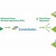 Harnessing Constellation Renewable Energy Power | Renewable Energy Solutions for a Sustainable Future | Clean & Green Power