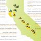 Top California Renewable Energy Projects &amp; Incentives | Renewable Energy Solutions for a Sustainable Future | Clean & Green Power