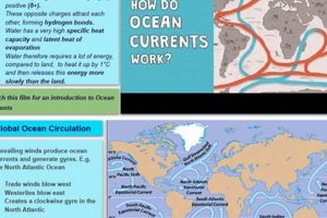 Ocean Currents: Climate Impact Explained | Renewable Energy Solutions for a Sustainable Future | Clean & Green Power