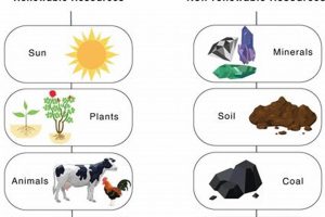 Why Use What is a Renewable Natural Resource? Benefits & Future! | Renewable Energy Solutions for a Sustainable Future | Clean & Green Power