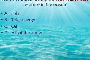 Is Ocean Energy Renewable? A Deep Dive Renewable Energy Solutions for a Sustainable Future | Clean & Green Power Is Ocean Energy Renewable? A Deep Dive | Renewable Energy Solutions for a Sustainable Future | Clean & Green Power