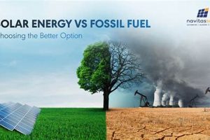 Green Jobs vs. Fossil Fuels: The Employment Shift | Renewable Energy Solutions for a Sustainable Future | Clean & Green Power