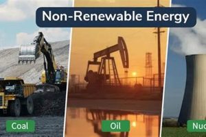Is Petroleum Non-Renewable Energy Sustainable? | Renewable Energy Solutions for a Sustainable Future | Clean & Green Power