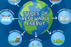 5 Kinds of Renewable Energy: A Complete Guide Renewable Energy Solutions for a Sustainable Future | Clean & Green Power 5 Kinds of Renewable Energy: A Complete Guide | Renewable Energy Solutions for a Sustainable Future | Clean & Green Power
