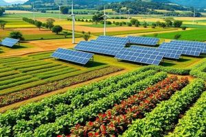 Renewable Energy And Agriculture Renewable Energy Solutions for a Sustainable Future | Clean & Green Power Renewable Energy And Agriculture | Renewable Energy Solutions for a Sustainable Future | Clean & Green Power