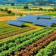 Renewable Energy And Agriculture | Renewable Energy Solutions for a Sustainable Future | Clean & Green Power