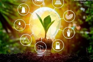 Best Renewable Energy Internships in India 2024 Renewable Energy Solutions for a Sustainable Future | Clean & Green Power Best Renewable Energy Internships in India 2024 | Renewable Energy Solutions for a Sustainable Future | Clean & Green Power