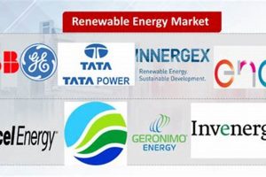 Top Renewable Energy Companies in Bangalore [2024] | Renewable Energy Solutions for a Sustainable Future | Clean & Green Power