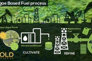 Is Algae The Future of Renewable Energy? Explained Renewable Energy Solutions for a Sustainable Future | Clean & Green Power Is Algae The Future of Renewable Energy? Explained | Renewable Energy Solutions for a Sustainable Future | Clean & Green Power