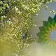 bp Renewable Energy: Powering a Sustainable Future | Renewable Energy Solutions for a Sustainable Future | Clean & Green Power
