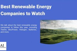 Top Best Renewable Energy Companies to Work For in 2024 | Renewable Energy Solutions for a Sustainable Future | Clean & Green Power