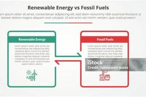 Is Fossil Fuel Renewable Or Nonrenewable | Renewable Energy Solutions for a Sustainable Future | Clean & Green Power