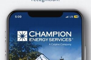 Championing Energy Renewal: A Sustainable Future | Renewable Energy Solutions for a Sustainable Future | Clean & Green Power