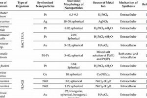 Unlocking Insights: Resources via Different Angles Renewable Energy Solutions for a Sustainable Future | Clean & Green Power Unlocking Insights: Resources via Different Angles | Renewable Energy Solutions for a Sustainable Future | Clean & Green Power