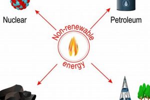 Fact Check: Why Coal *Isn't* a Renewable Resource? Debunked! Renewable Energy Solutions for a Sustainable Future | Clean & Green Power Fact Check: Why Coal *Isn't* a Renewable Resource? Debunked! | Renewable Energy Solutions for a Sustainable Future | Clean & Green Power