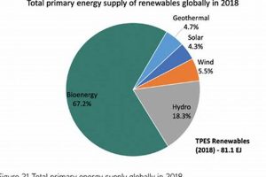 Top Source: What is the Largest Renewable Energy Source Today? Renewable Energy Solutions for a Sustainable Future | Clean & Green Power Top Source: What is the Largest Renewable Energy Source Today? | Renewable Energy Solutions for a Sustainable Future | Clean & Green Power
