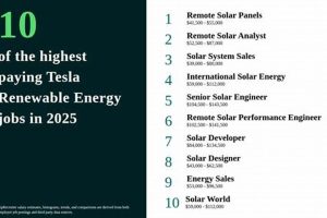Top Tesla Renewable Energy Jobs & Careers Renewable Energy Solutions for a Sustainable Future | Clean & Green Power Top Tesla Renewable Energy Jobs & Careers | Renewable Energy Solutions for a Sustainable Future | Clean & Green Power