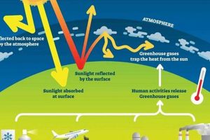 How Does Renewable Energy Reduce Greenhouse Gases Renewable Energy Solutions for a Sustainable Future | Clean & Green Power How Does Renewable Energy Reduce Greenhouse Gases | Renewable Energy Solutions for a Sustainable Future | Clean & Green Power
