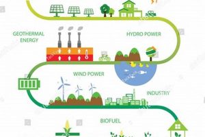 Renewable Energy Bio | Renewable Energy Solutions for a Sustainable Future | Clean & Green Power