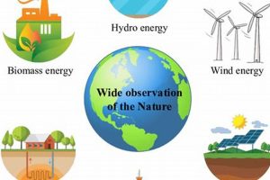 Review: Renewable Energy's Role in Environmental Protection Now | Renewable Energy Solutions for a Sustainable Future | Clean & Green Power