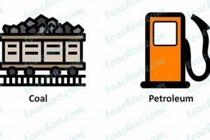What Energy Sources Are Non Renewable Renewable Energy Solutions for a Sustainable Future | Clean & Green Power What Energy Sources Are Non Renewable | Renewable Energy Solutions for a Sustainable Future | Clean & Green Power