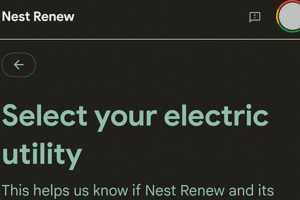 How to Disable Nest Renew: A Simple Guide | Renewable Energy Solutions for a Sustainable Future | Clean & Green Power
