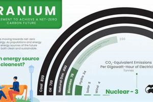 Is Uranium a Renewable Energy Source? Facts & Myths Renewable Energy Solutions for a Sustainable Future | Clean & Green Power Is Uranium a Renewable Energy Source? Facts & Myths | Renewable Energy Solutions for a Sustainable Future | Clean & Green Power