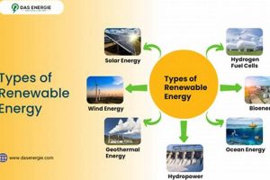 Exploring Various Types of Renewable Energy Sources: Powering Tomorrow Renewable Energy Solutions for a Sustainable Future | Clean & Green Power Exploring Various Types of Renewable Energy Sources: Powering Tomorrow | Renewable Energy Solutions for a Sustainable Future | Clean & Green Power