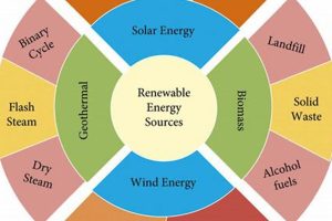 Top Major Sources of Renewable Energy: The Future Power Renewable Energy Solutions for a Sustainable Future | Clean & Green Power Top Major Sources of Renewable Energy: The Future Power | Renewable Energy Solutions for a Sustainable Future | Clean & Green Power