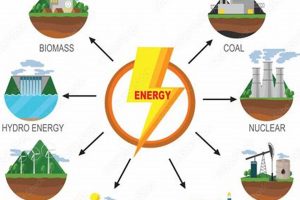 Renewable Energy Quiz: All Except Which Source? | Renewable Energy Solutions for a Sustainable Future | Clean & Green Power