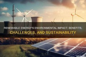 Renewable Energy's Environmental Impact: A Deep Dive | Renewable Energy Solutions for a Sustainable Future | Clean & Green Power