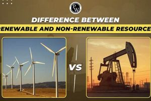 Top 5 Reasons: Renewable Energy vs. Fossil Fuels | Renewable Energy Solutions for a Sustainable Future | Clean & Green Power