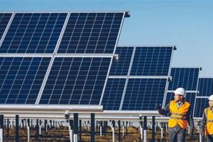 AGL Renewable Energy: Powering a Sustainable Future | Renewable Energy Solutions for a Sustainable Future | Clean & Green Power