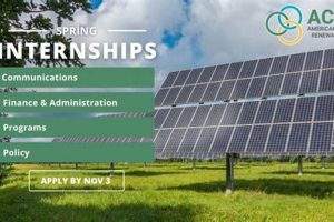 Launch Your Renewable Energy Career: ACORE Internships | Renewable Energy Solutions for a Sustainable Future | Clean & Green Power