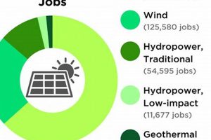 Top Renewable Energy Jobs in Maryland Now | Renewable Energy Solutions for a Sustainable Future | Clean & Green Power