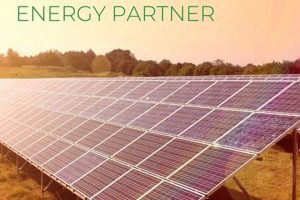 Harnessing Solar: Eclipse & Renewable Energy | Renewable Energy Solutions for a Sustainable Future | Clean & Green Power