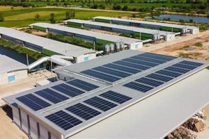 Top Commercial Renewable Energy Providers in Texas 2024 | Renewable Energy Solutions for a Sustainable Future | Clean & Green Power