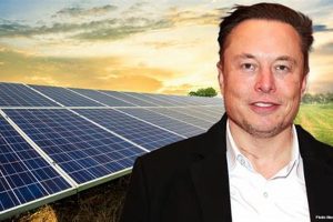 Renewable Energy Elon Musk | Renewable Energy Solutions for a Sustainable Future | Clean & Green Power